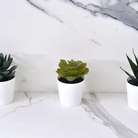 Гостевой дом Rivieras House -